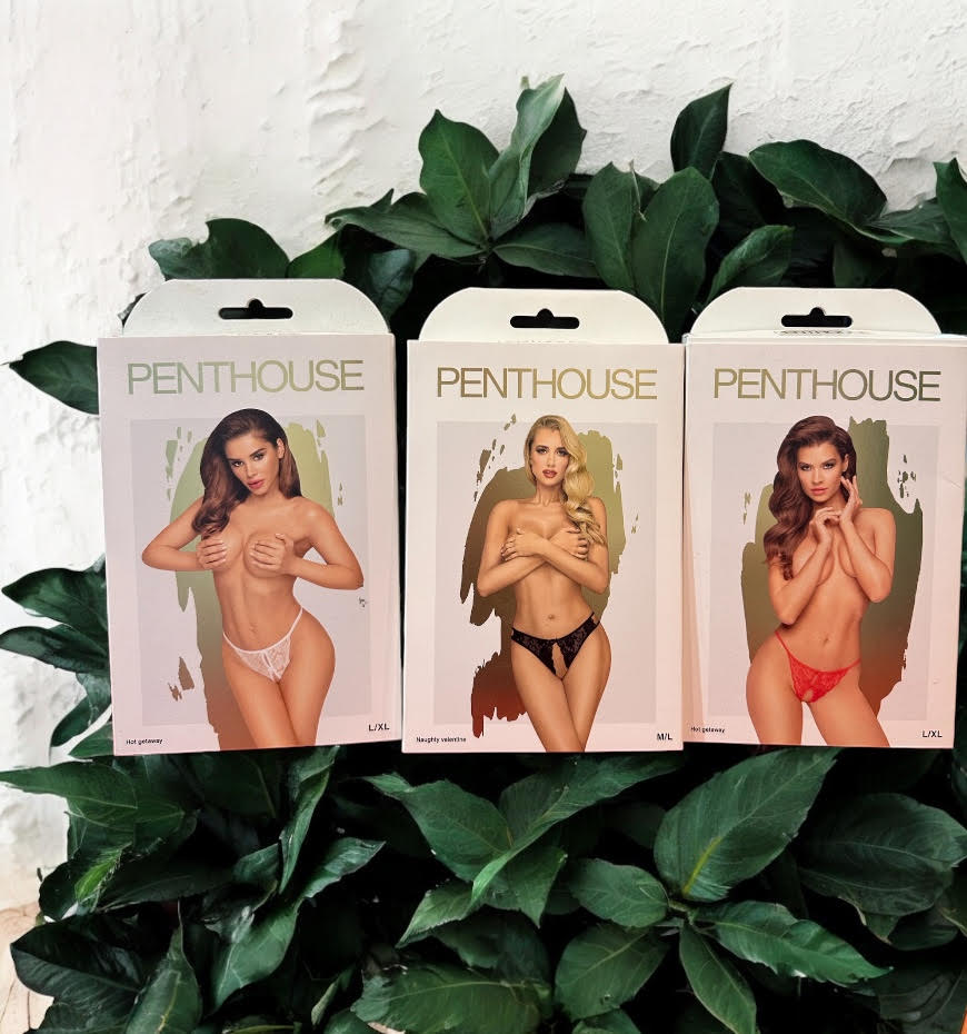 Penthouse - Hot Getaway Crotch less underwear